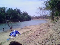 /album/pescaria/img0139a-jpg/